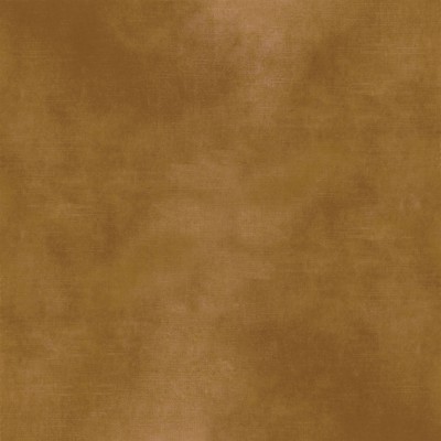 CASAMANCE_42484051.jpg