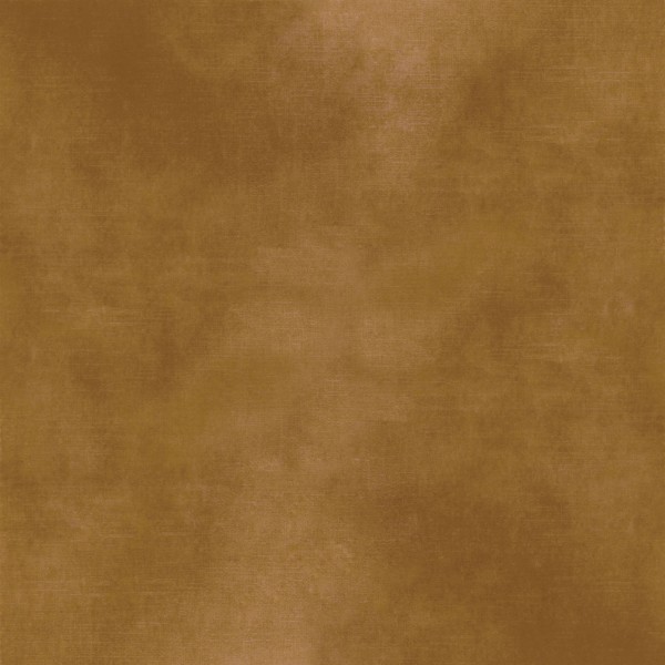 CASAMANCE_42484051.jpg