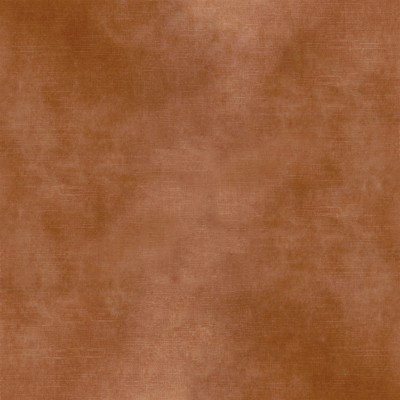 CASAMANCE_42484155.jpg