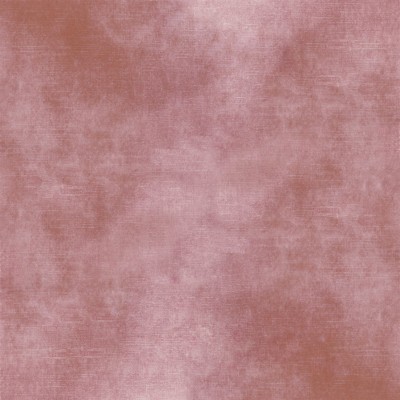 CASAMANCE_42484675.jpg
