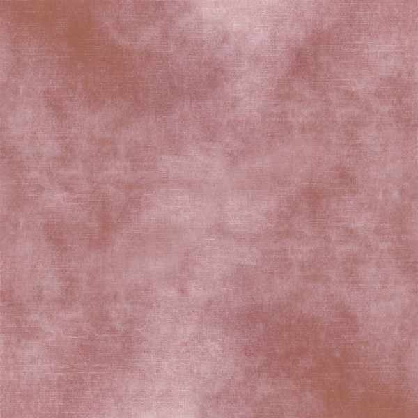 CASAMANCE_42484675.jpg