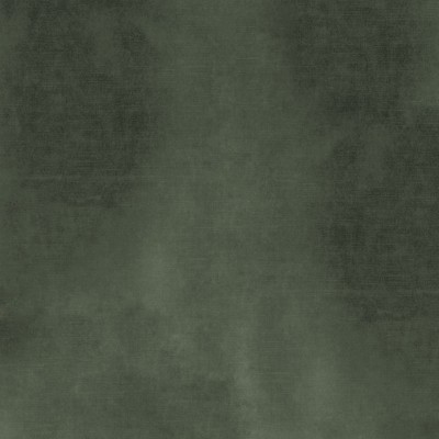 CASAMANCE_42485407.jpg