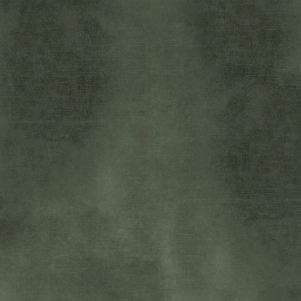 CASAMANCE_42485407.jpg
