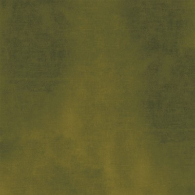 CASAMANCE_42486424.jpg