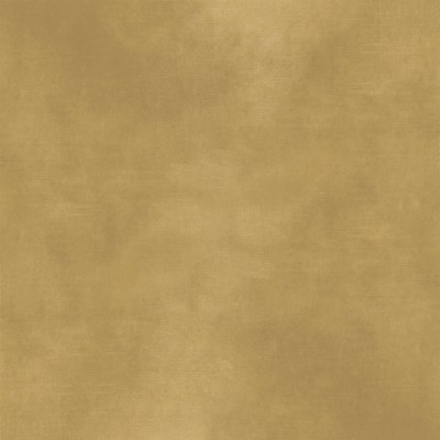 CASAMANCE_42486513.jpg