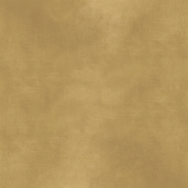 CASAMANCE_42486513.jpg