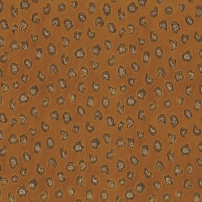 CASAMANCE_10850125.jpg