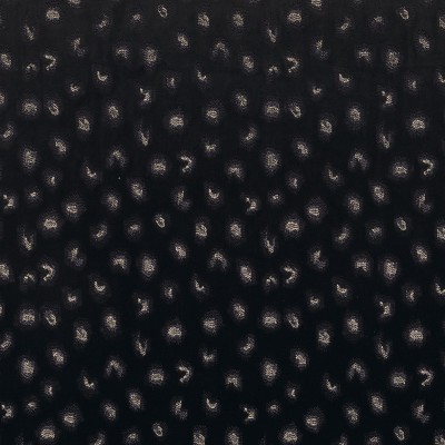 CASAMANCE_10850268.jpg