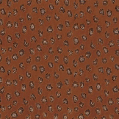 CASAMANCE_10850415.jpg