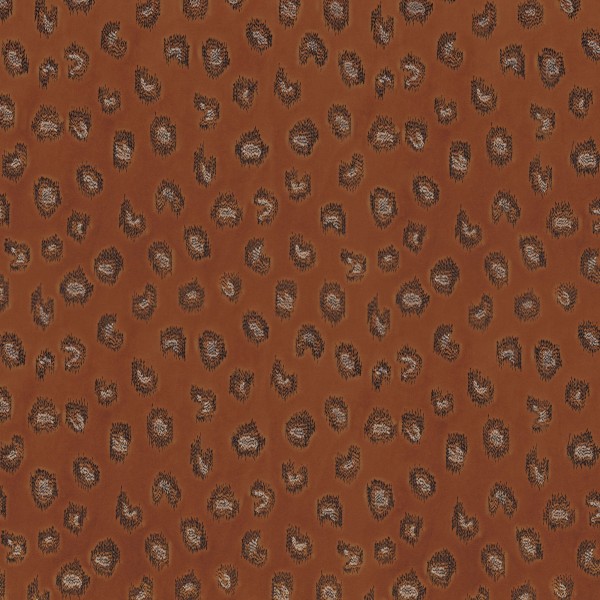 CASAMANCE_10850415.jpg