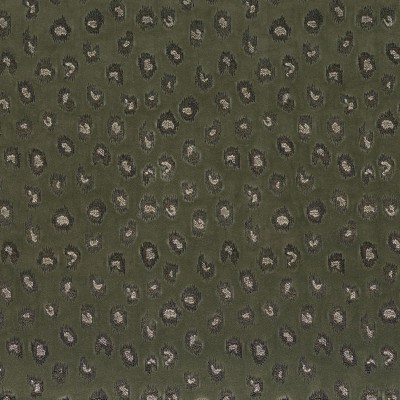 CASAMANCE_10850547.jpg