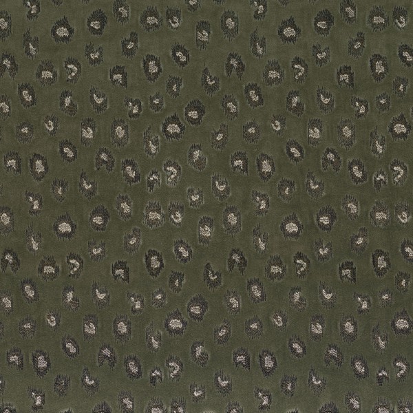 CASAMANCE_10850547.jpg