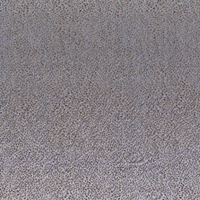 CASAMANCE_11040235.jpg