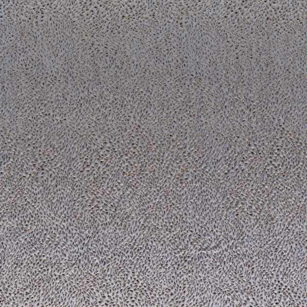 CASAMANCE_11040235.jpg