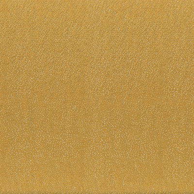 CASAMANCE_11040523.jpg