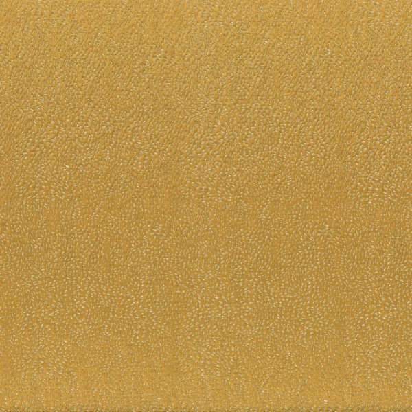 CASAMANCE_11040523.jpg