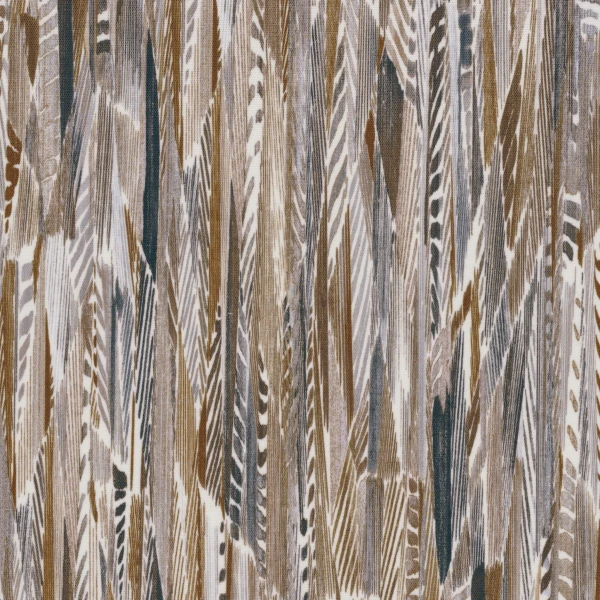 CASAMANCE_43980196.jpg