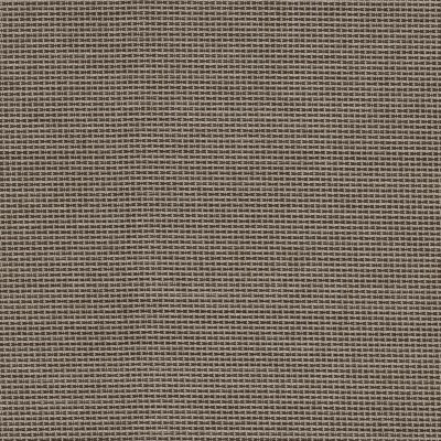 CASAMANCE_44260497.jpg