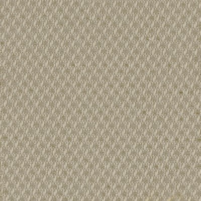 CASAMANCE_44520398.jpg