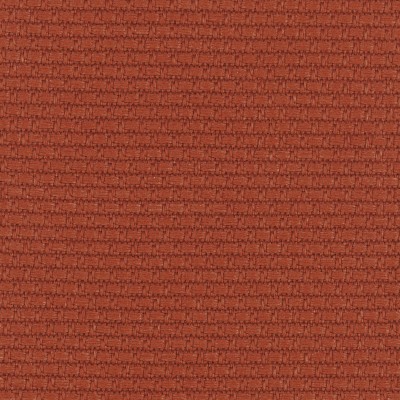 CASAMANCE_44520718.jpg