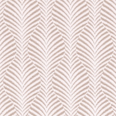 CASAMANCE_44690135.jpg