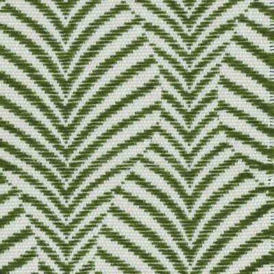 CASAMANCE_44690502.jpg
