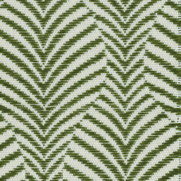 CASAMANCE_44690502.jpg