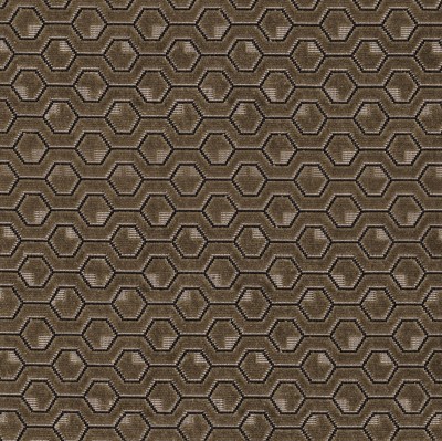 CASAMANCE_46650256.jpg