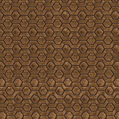 CASAMANCE_46650491.jpg