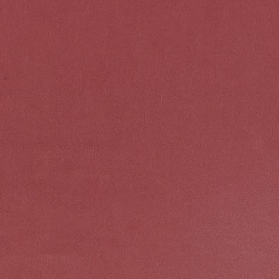 CASAMANCE_44600936.jpg