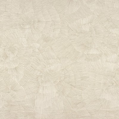 CASAMANCE_40610134.jpg