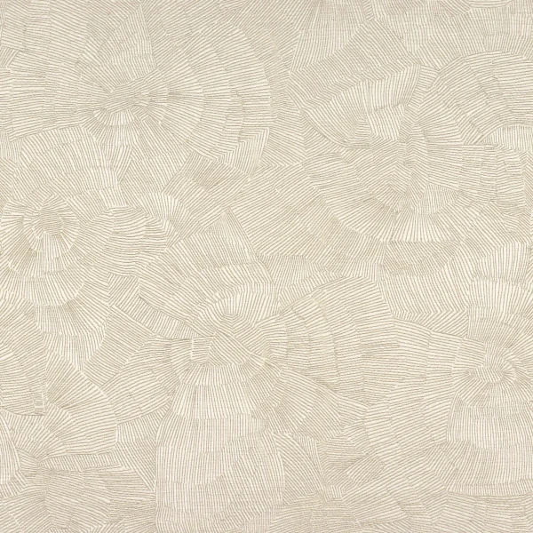 CASAMANCE_40610134.jpg