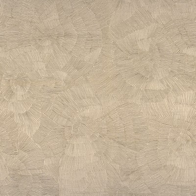CASAMANCE_40610298.jpg