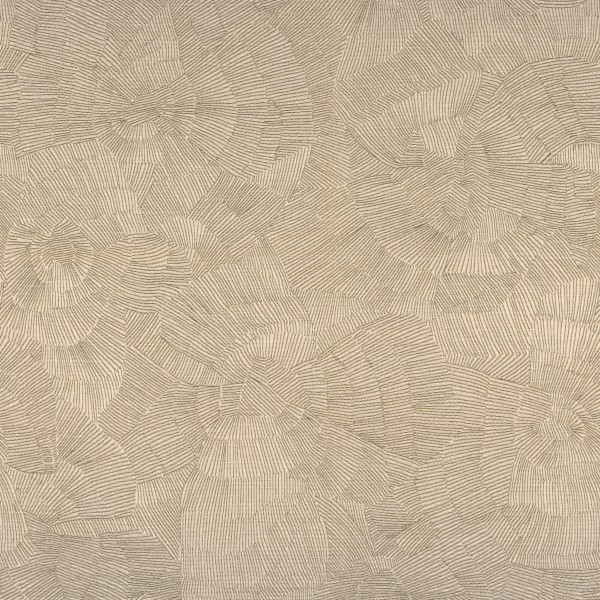 CASAMANCE_40610298.jpg