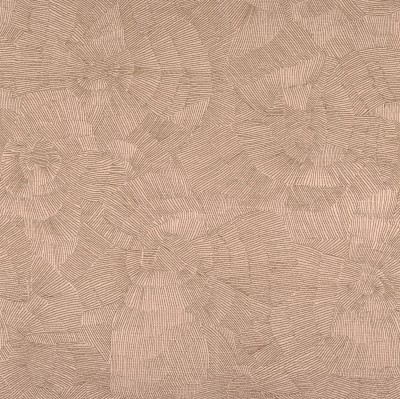 CASAMANCE_40610367.jpg