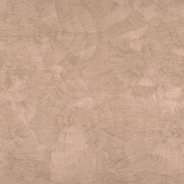 CASAMANCE_40610367.jpg
