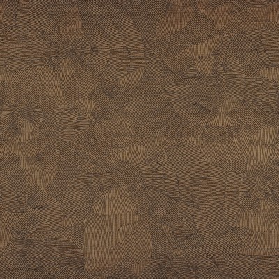 CASAMANCE_40610458.jpg