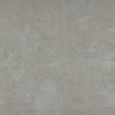 CASAMANCE_40610512.jpg