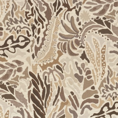 CASAMANCE_41100345.jpg