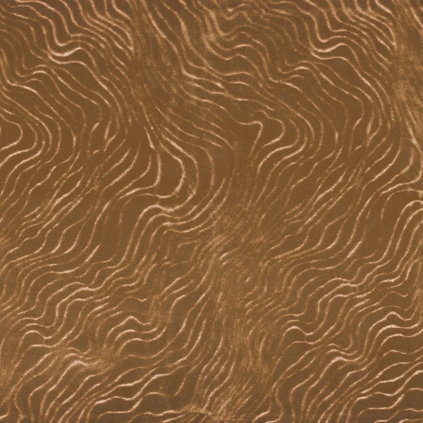 CASAMANCE_41320124.jpg