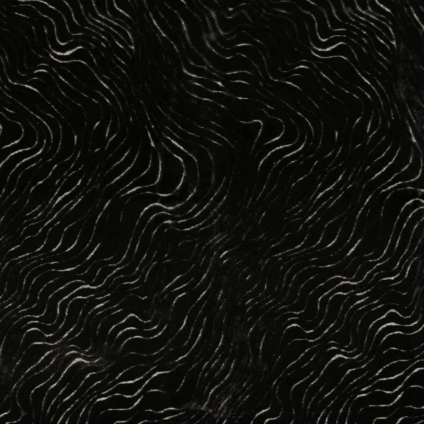CASAMANCE_41320297.jpg