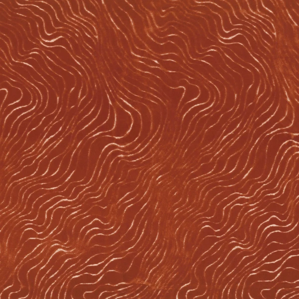 CASAMANCE_41320582.jpg