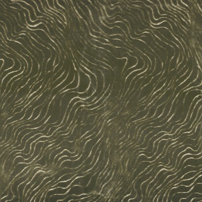 CASAMANCE_41320678.jpg