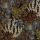 CASAMANCE_45260234.jpg