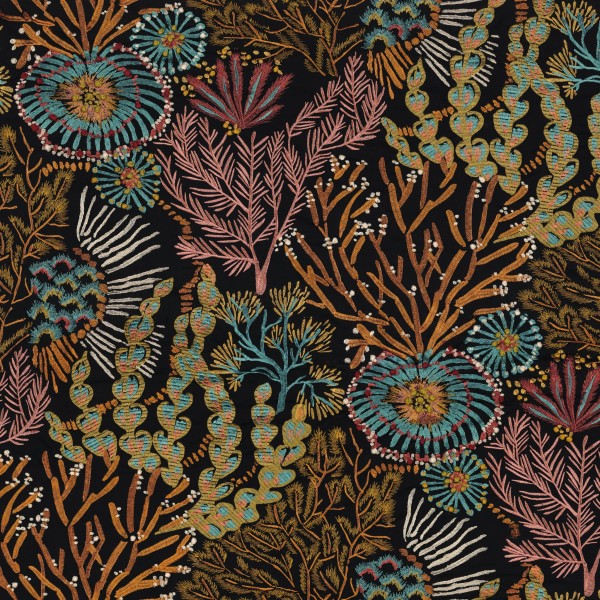 CASAMANCE_45260378.jpg