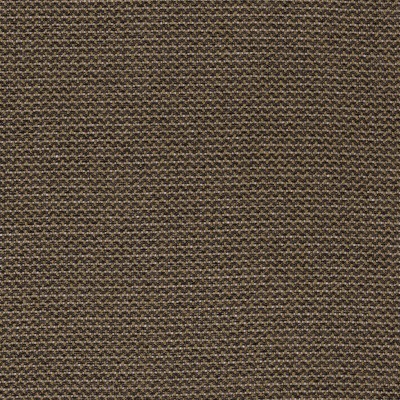 CASAMANCE_46110671.jpg