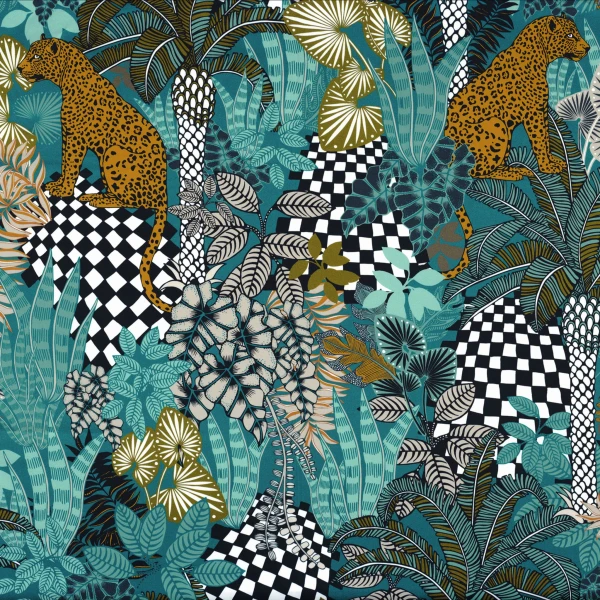CASAMANCE_49710273.jpg