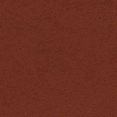 CASAMANCE_89991743.jpg