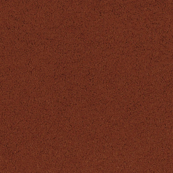 CASAMANCE_89991743.jpg