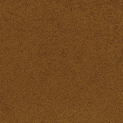 CASAMANCE_89991941.jpg
